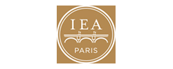 Paris Institute for Advanced Studies logo